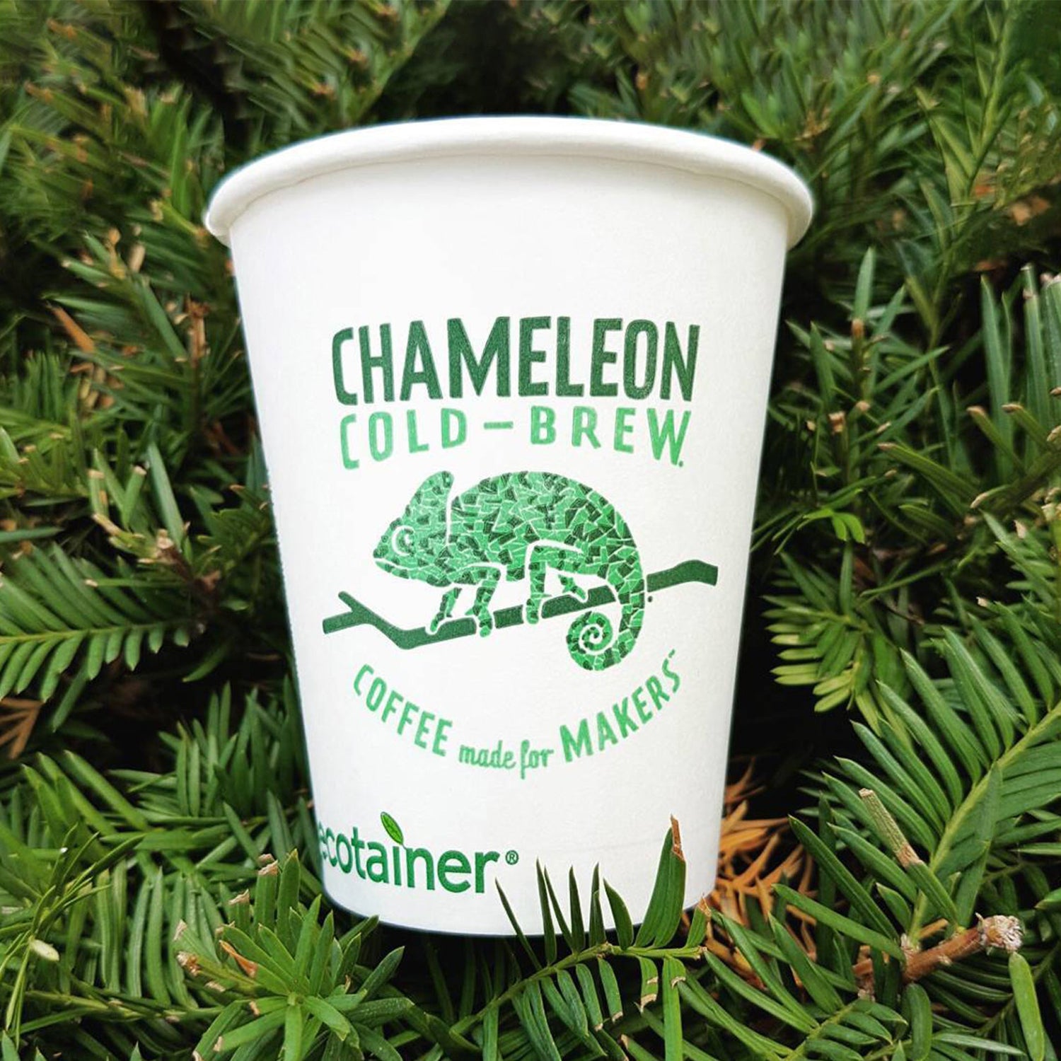 Custom Compostable Paper Cups | THE CUP STORE