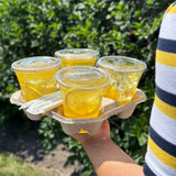 12 oz. Blank Compostable Plastic Cup