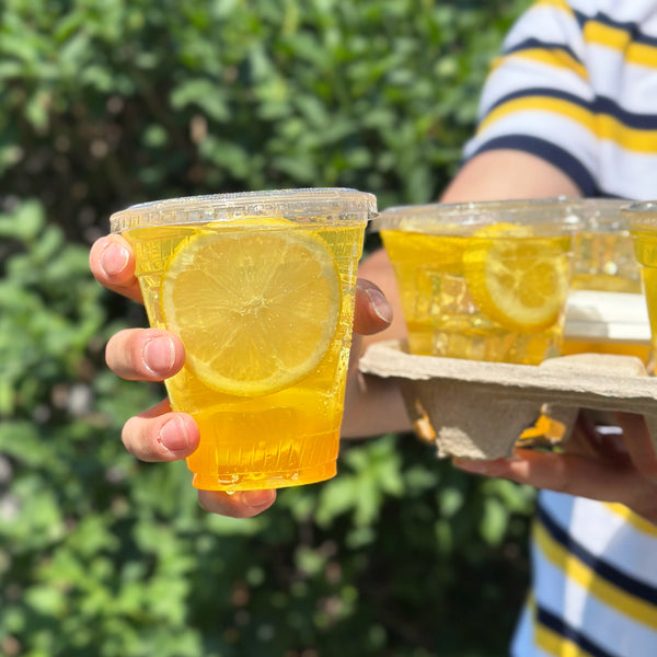 12 oz. Blank Compostable Plastic Cup