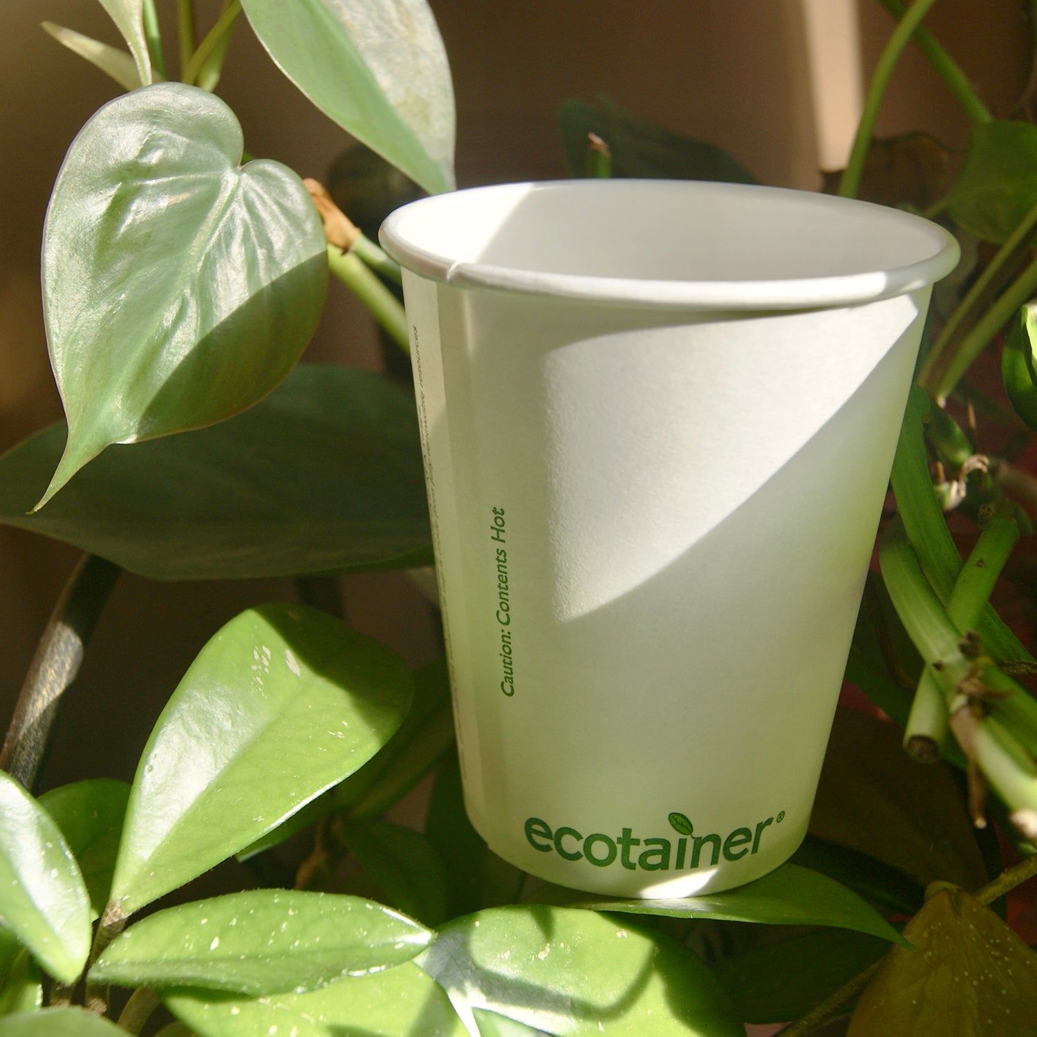 12 oz. Blank Compostable Plastic Cup