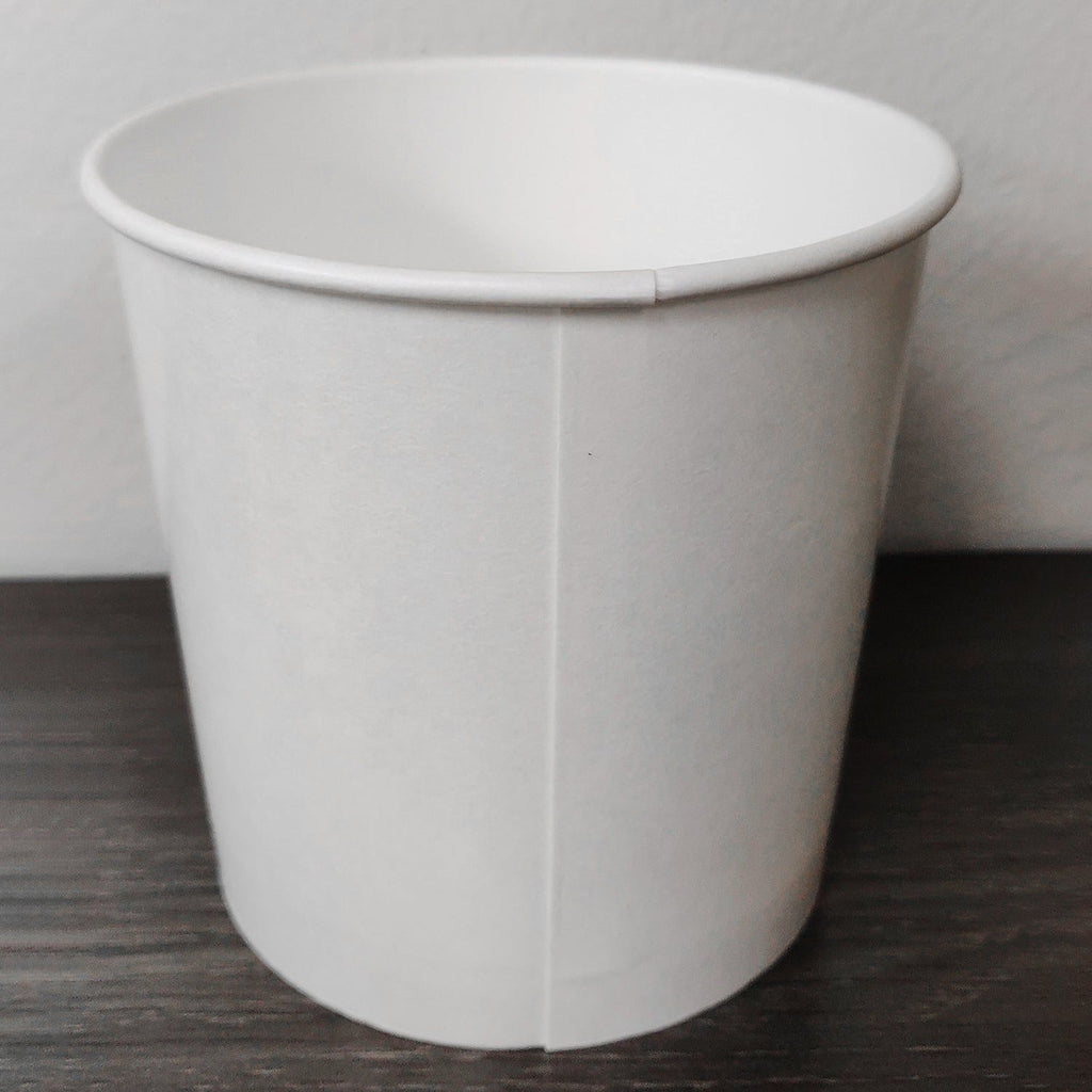 24 oz. Blank Recyclable Plastic Cup